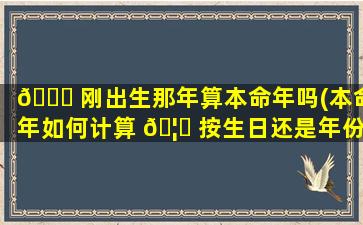 🐒 刚出生那年算本命年吗(本命年如何计算 🦁 按生日还是年份)